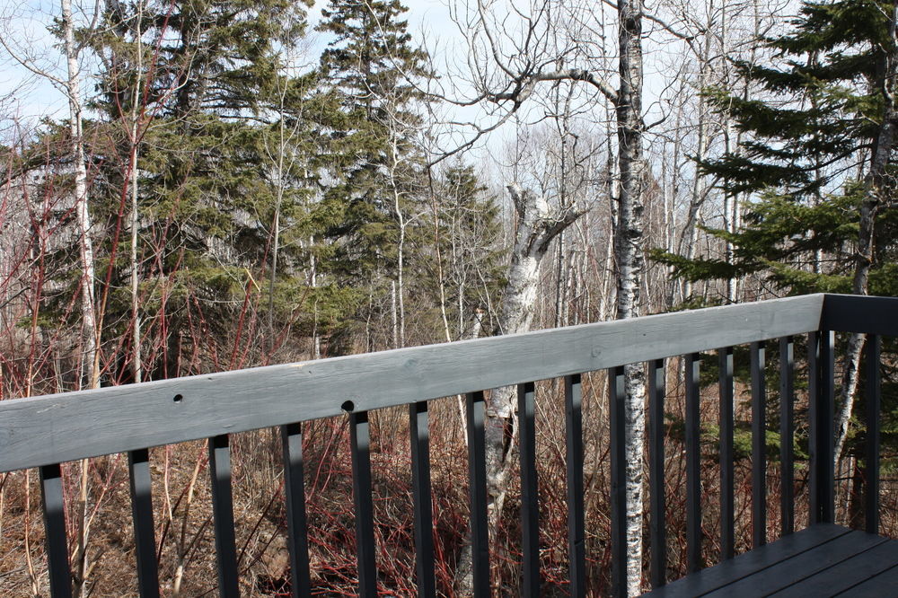 Superior Ridge Resort Motel Schroeder 외부 사진